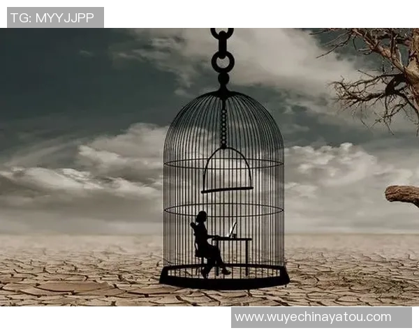 陈磊的足球人生深度对话：从球场传奇到人生哲学的启示与思考