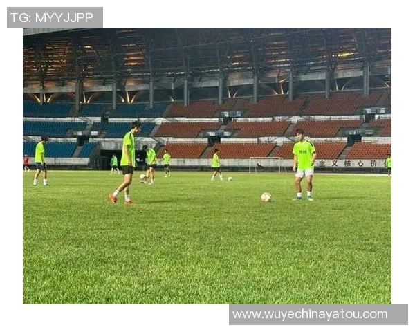 郴州足球明星盘点及其在国内外赛场的精彩表现与成就分析 郴州足球明星盘点及其在国内外赛场的精彩表现与成就分析