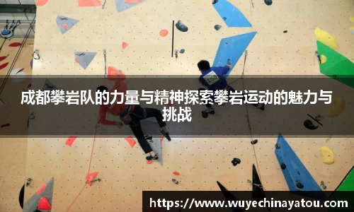 k1体育