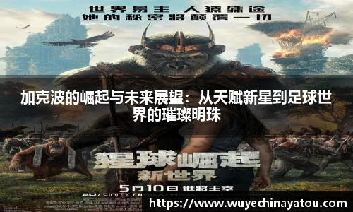 k1体育官方网站