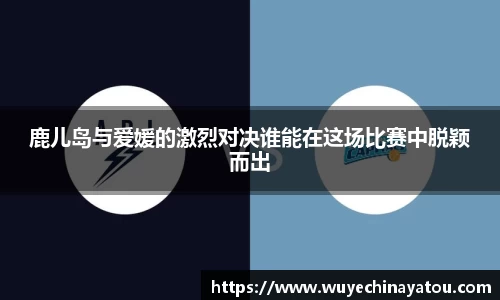 k1体育