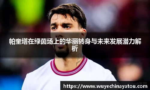 k1体育官方网站